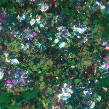 Load image into Gallery viewer, KATHLEEN DRAGON SCALE CHAMELEON FLAKES