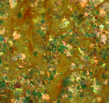 Load image into Gallery viewer, GLISMODA DRAGON SCALE CHAMELEON FLAKES