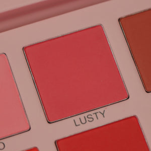 CHEEKY PRESSED POWDER BLUSH PALETTE