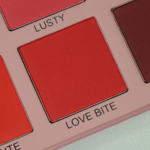 CHEEKY PRESSED POWDER BLUSH PALETTE