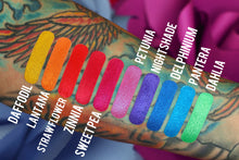Load image into Gallery viewer, RAINBOW CRYSTAL PRISMATIC PIGMENT COLLECTION
